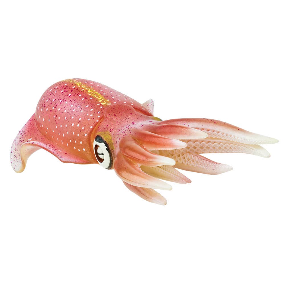 Reef Squid - 266229