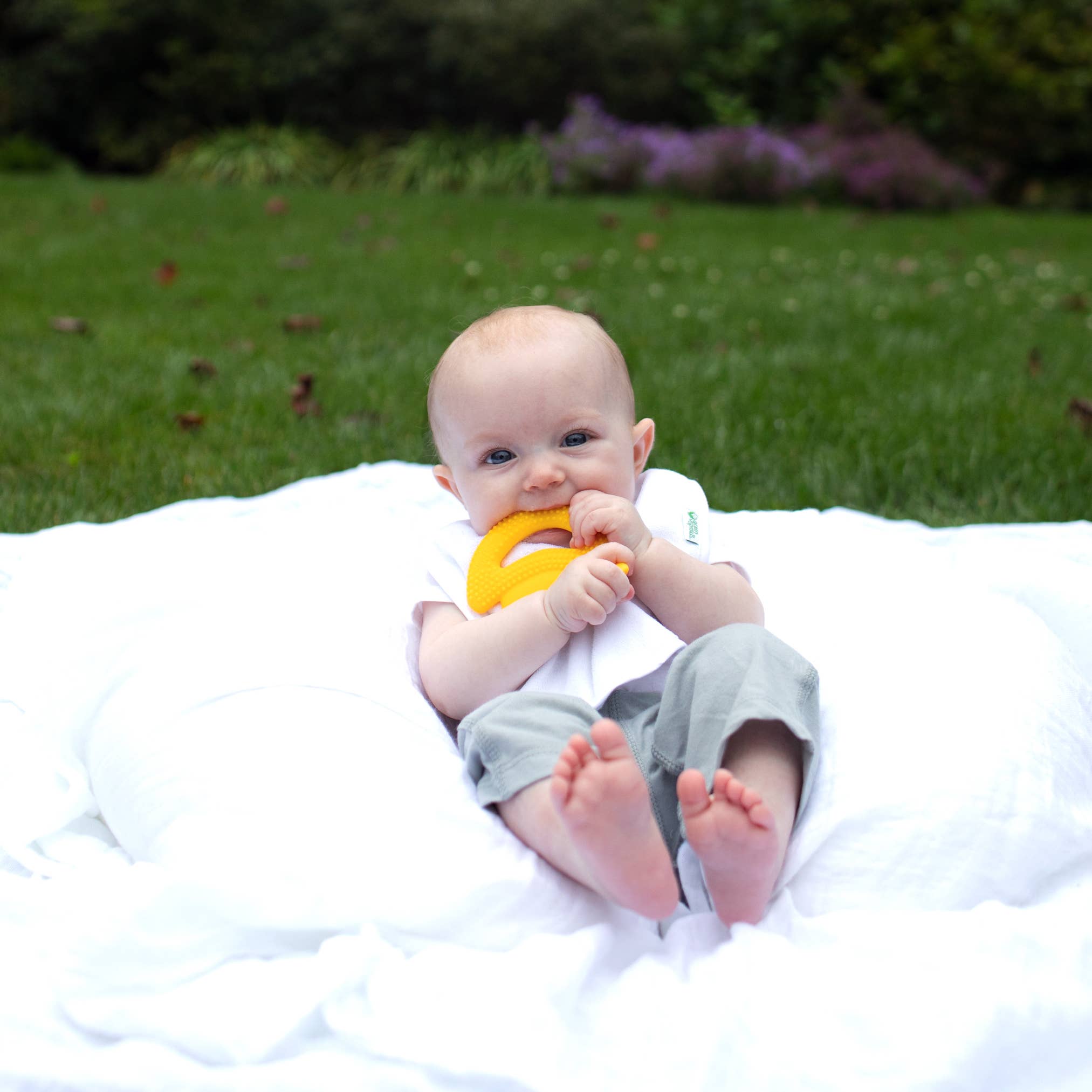 Silicone Fruit Teether: Blueberry