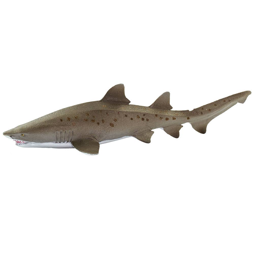 Sand Tiger Shark - 100369