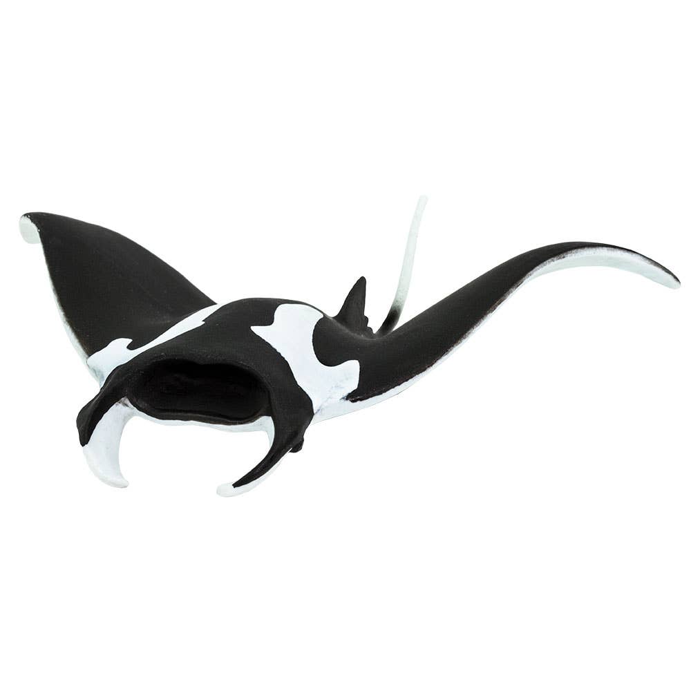 Manta Ray - 100096