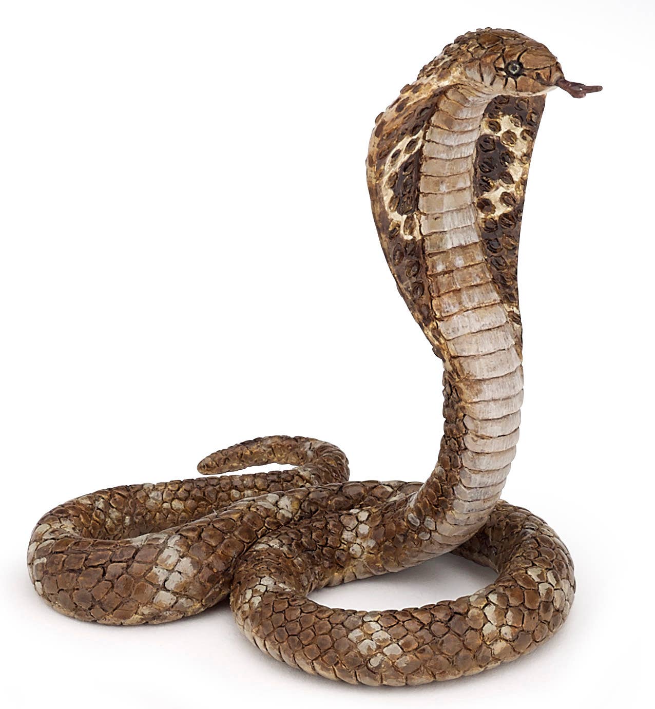 King Cobra