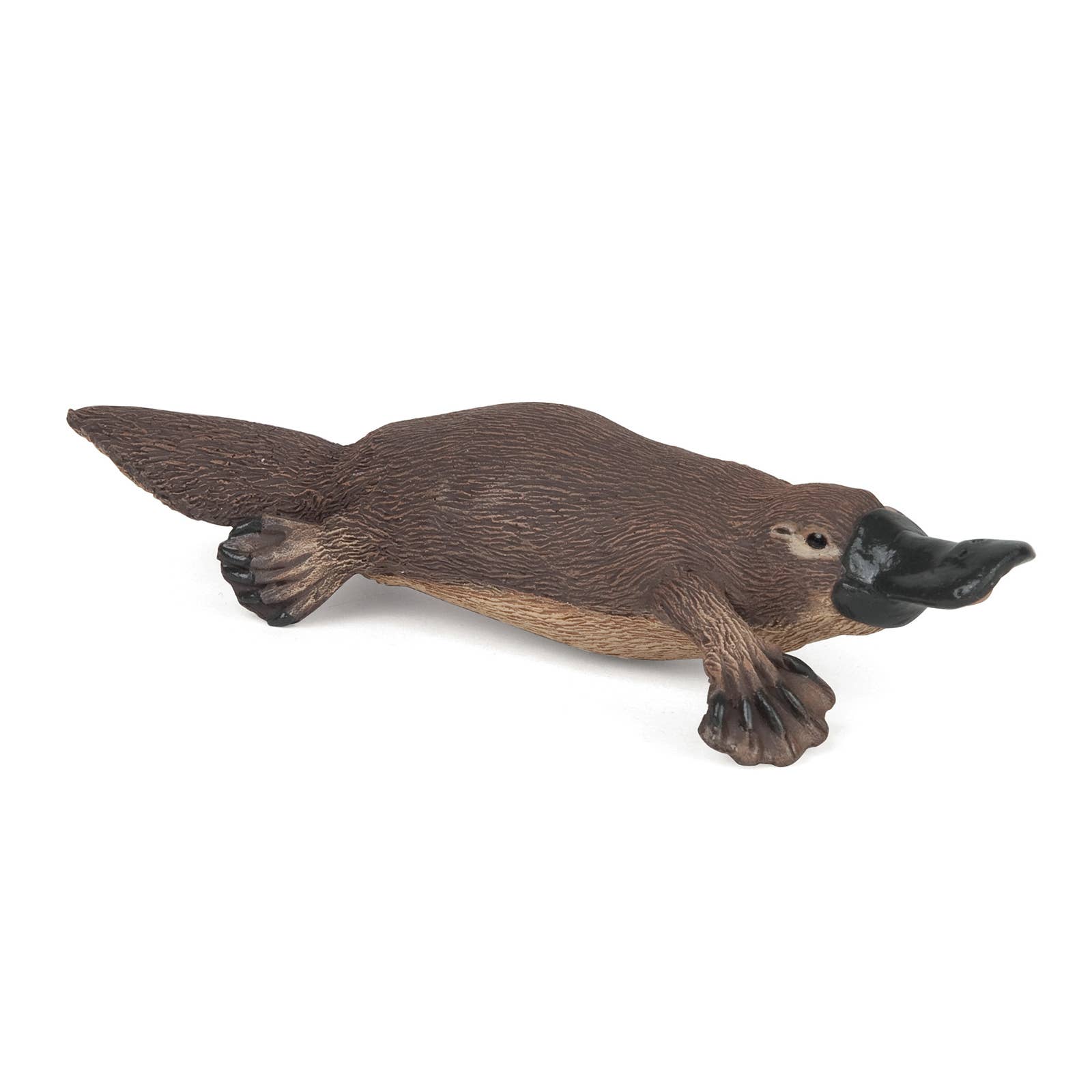 Playtypus